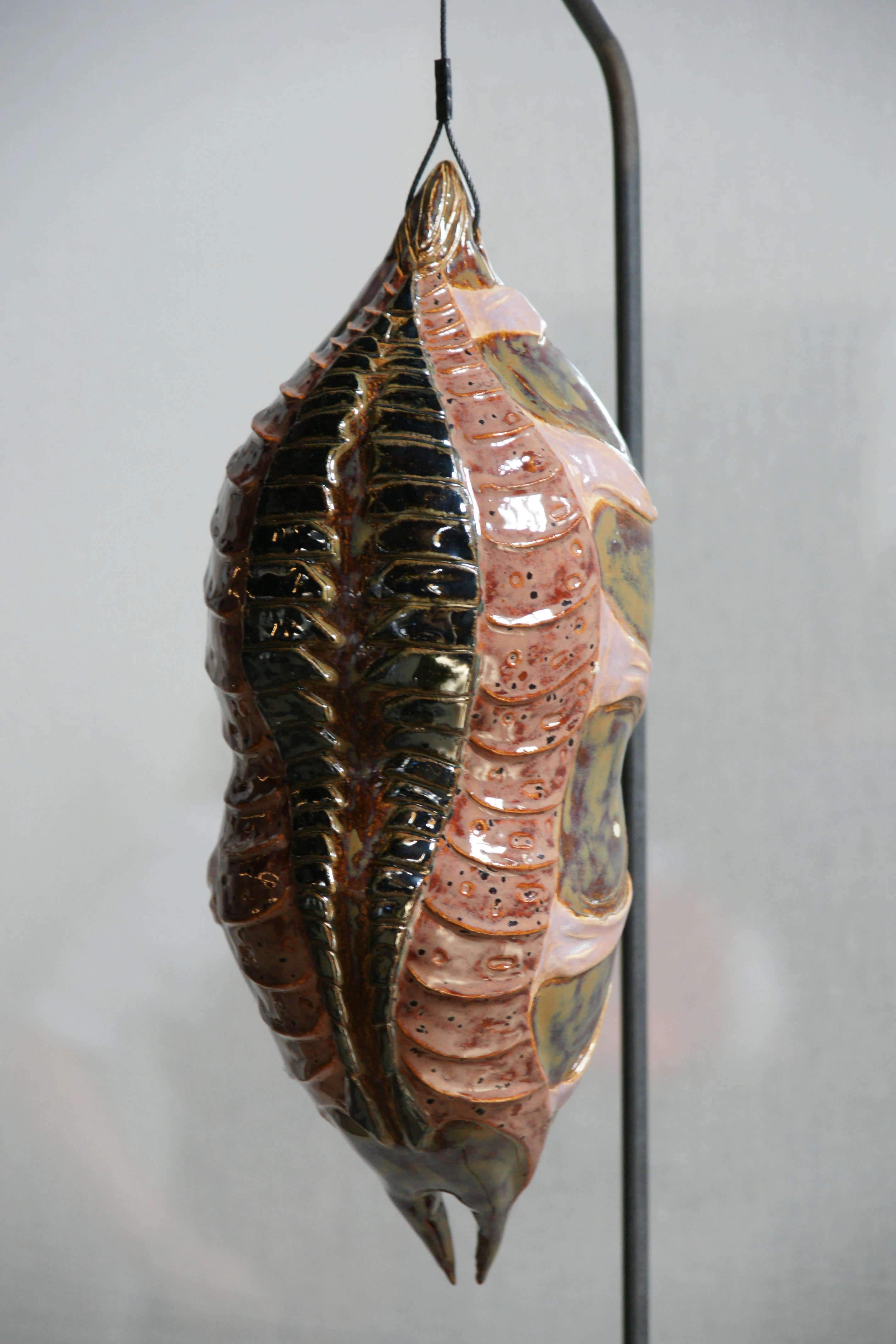 Cocon nr 5