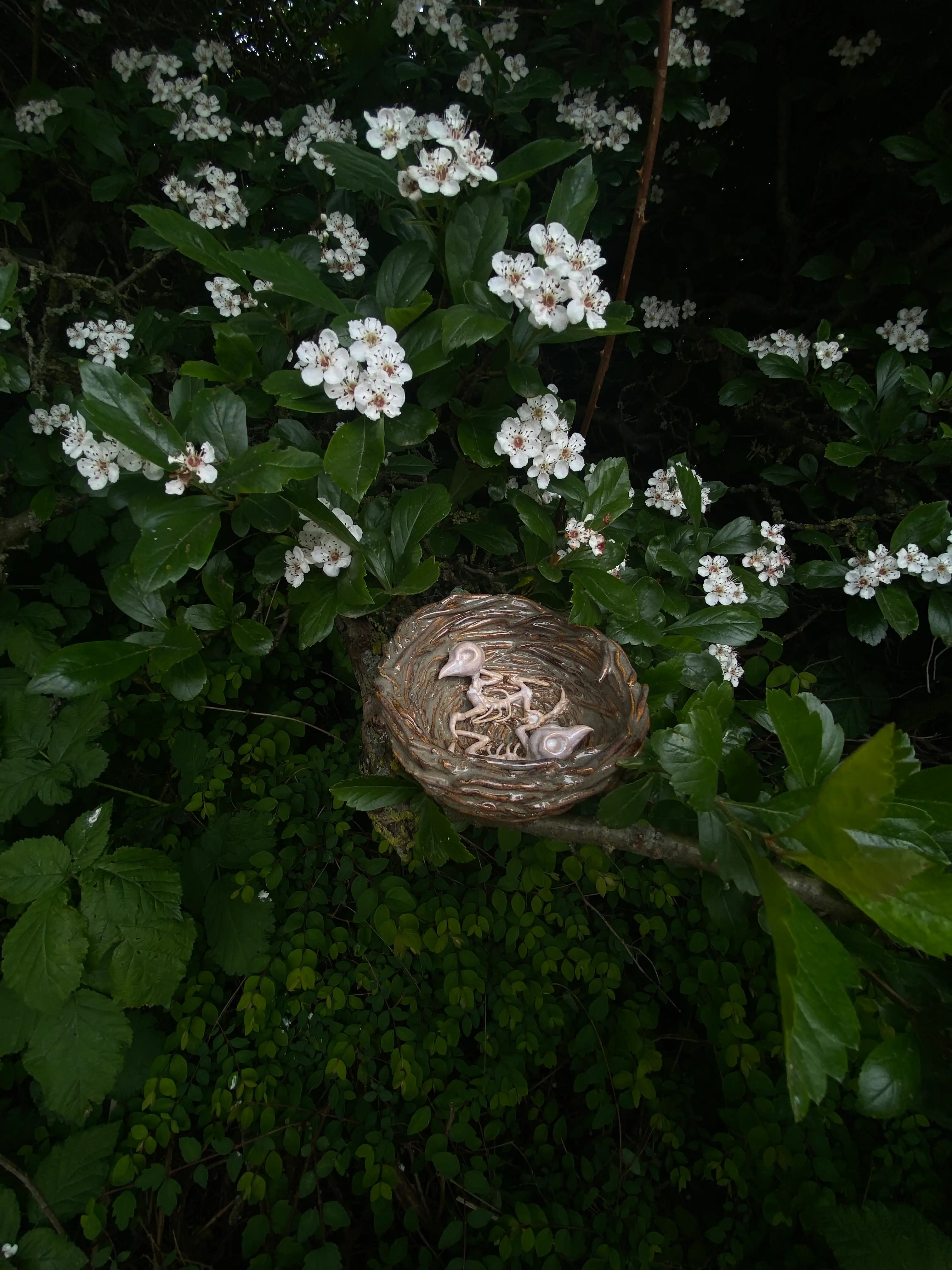 Verlaten vogelnestje