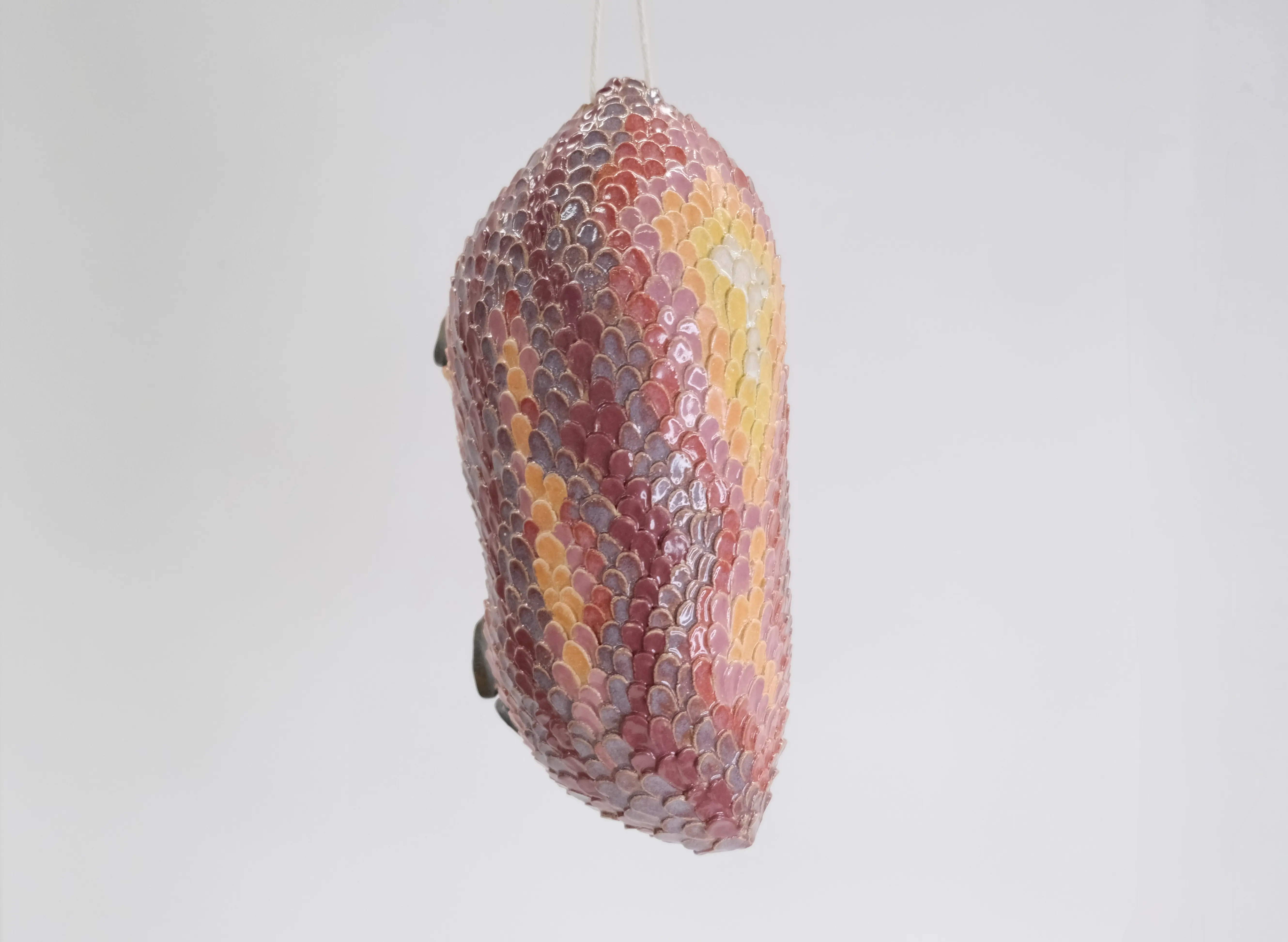 Cocon nr 4